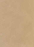 ref 21st-001